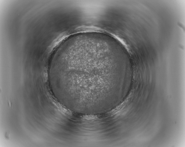 X0000095541407200712281534