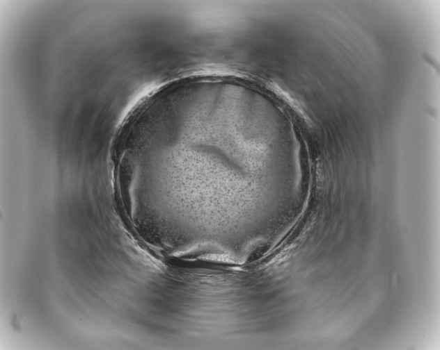 X0000095541408200712281534