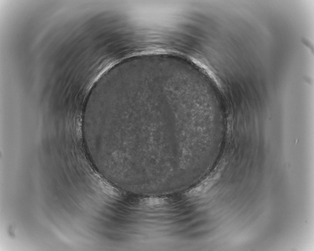 X0000095541409200712281534