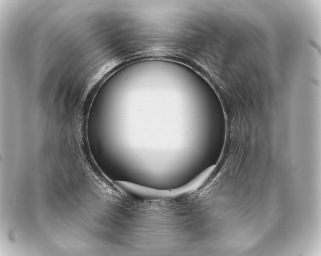 X0000095541410200712281534