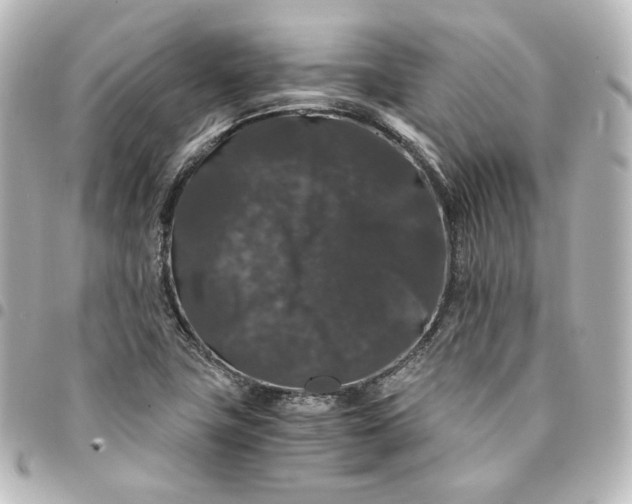 X0000095541411200712281534