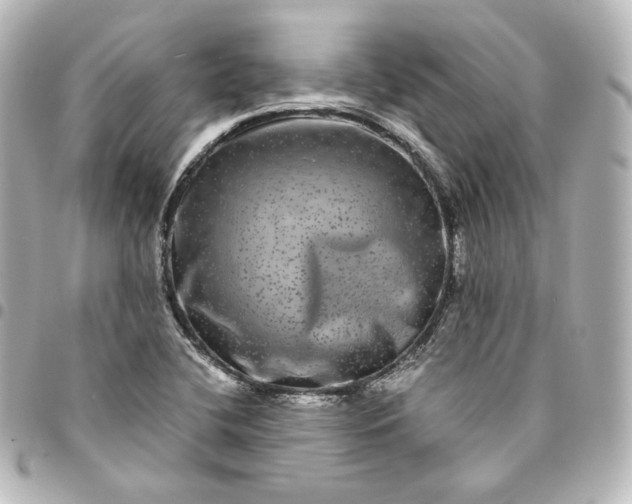 X0000095541412200712281534