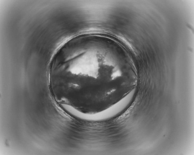 X0000095541413200712281534