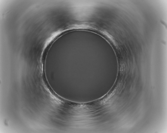 X0000095541414200712281534