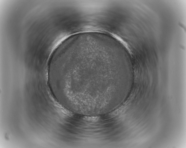 X0000095541415200712281534