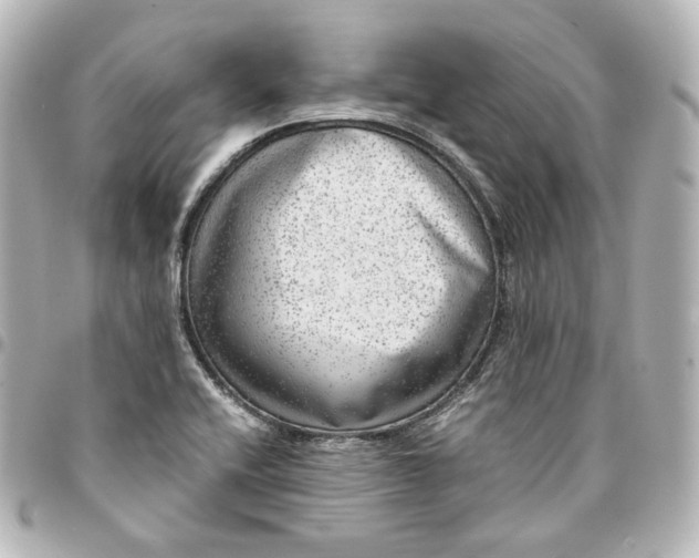 X0000095541416200712281534