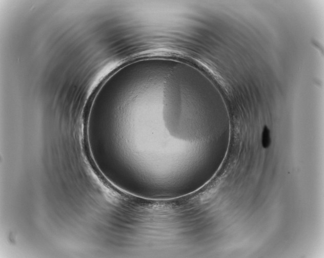 X0000095541418200712281534