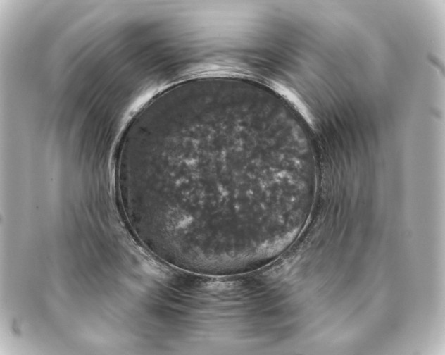 X0000095541419200712281534