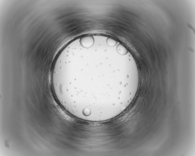 X0000095541420200712281534