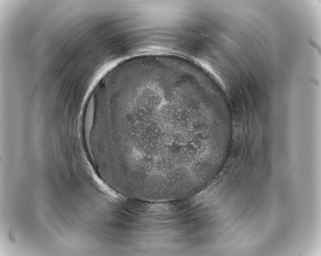 X0000095541421200712281534