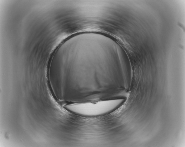 X0000095541422200712281534