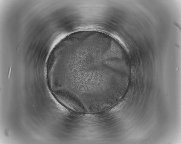 X0000095541424200712281534