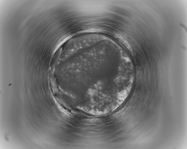 X0000095541425200712281534