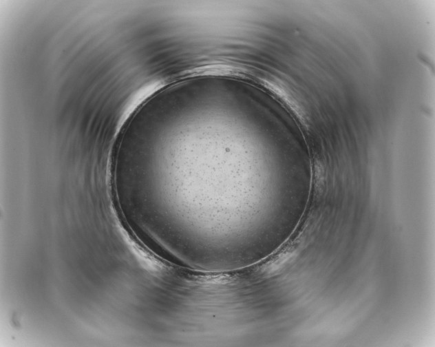 X0000095541426200712281534