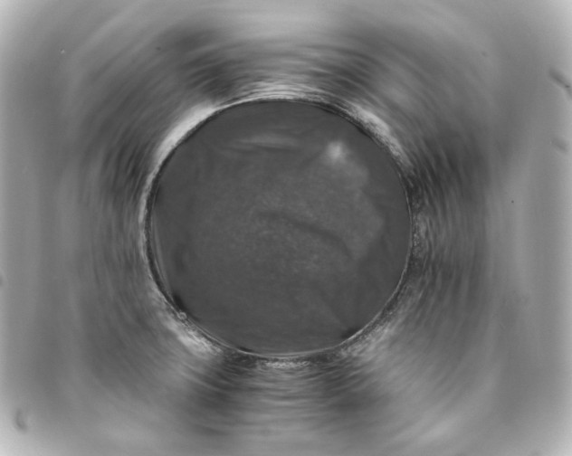 X0000095541427200712281534