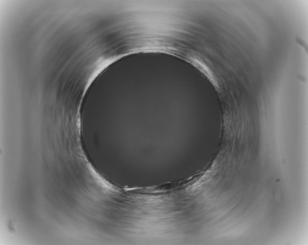 X0000095541428200712281534