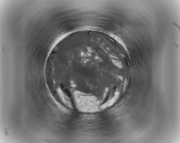 X0000095541429200712281534