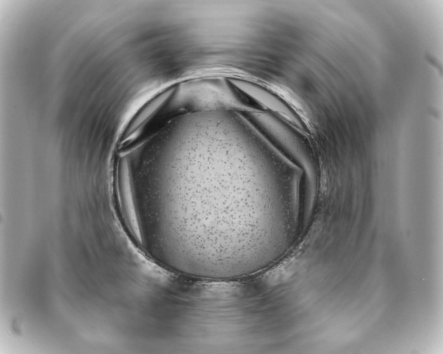 X0000095541430200712281534