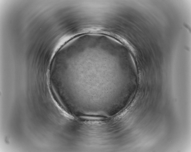 X0000095541432200712281534