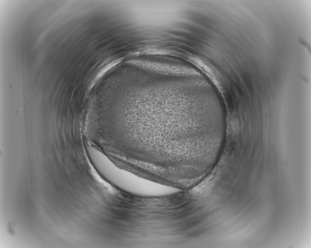 X0000095541433200712281534