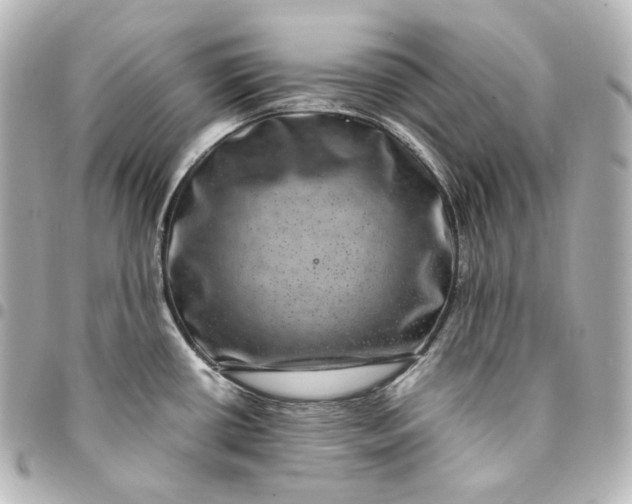 X0000095541434200712281534