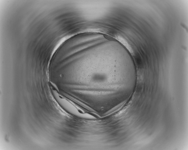 X0000095541436200712281534