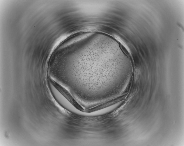 X0000095541437200712281534