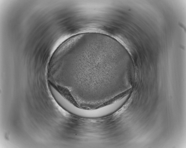 X0000095541438200712281534