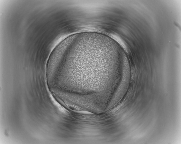 X0000095541439200712281534