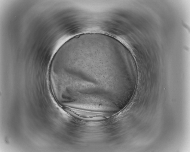 X0000095541440200712281534