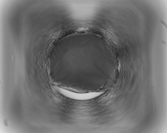 X0000095541441200712281533