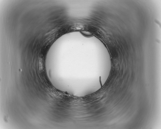 X0000095541442200712281533