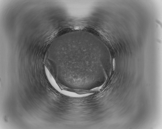 X0000095541443200712281533