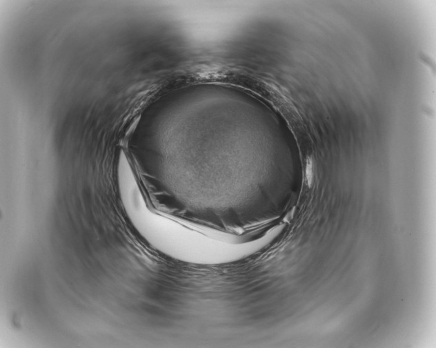 X0000095541444200712281533