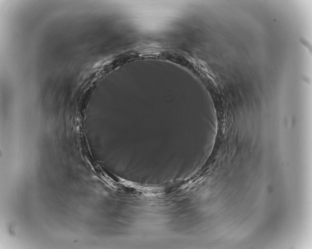 X0000095541445200712281533