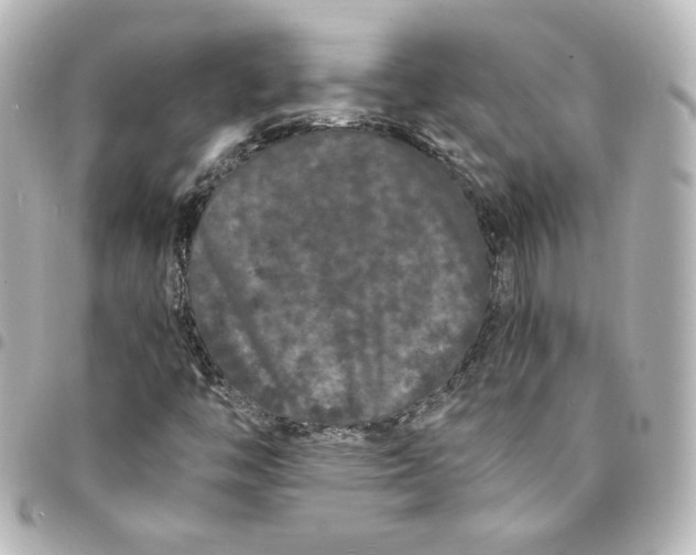 X0000095541446200712281533