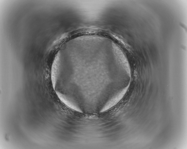 X0000095541447200712281533