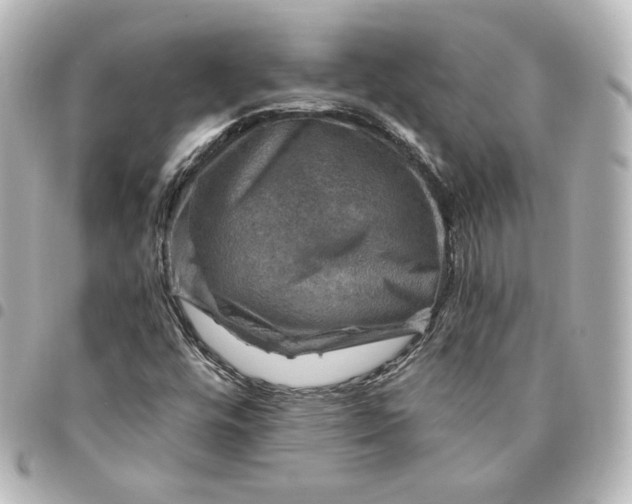 X0000095541448200712281533