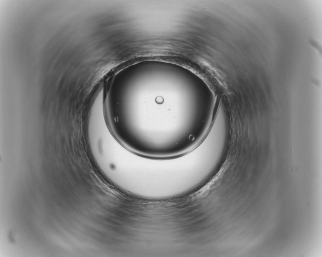 X0000095541449200712281533