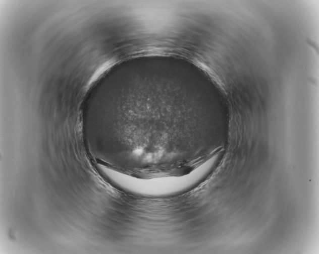 X0000095541450200712281533