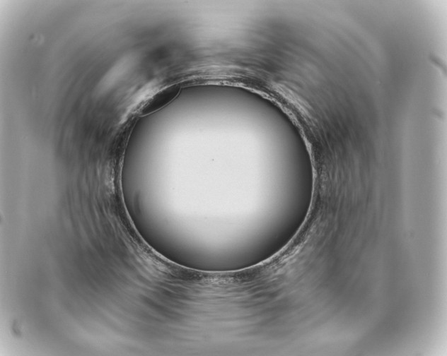 X0000095541451200712281533