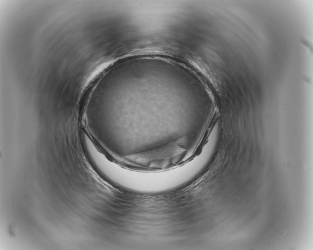 X0000095541452200712281533