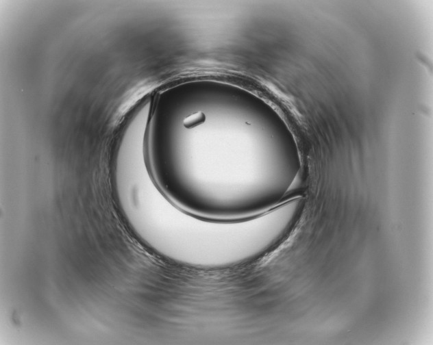 X0000095541453200712281533