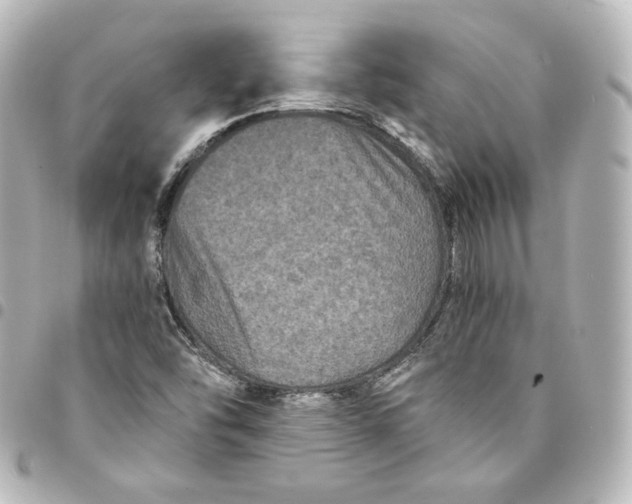 X0000095541454200712281533