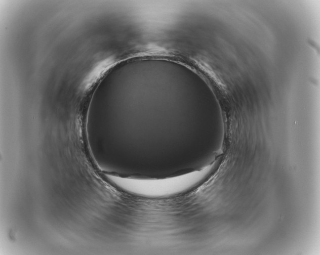 X0000095541455200712281533