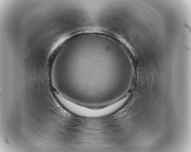 X0000095541456200712281533