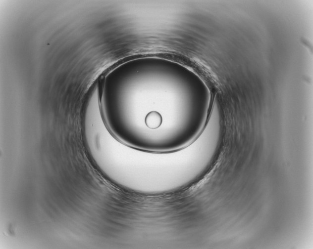 X0000095541457200712281533