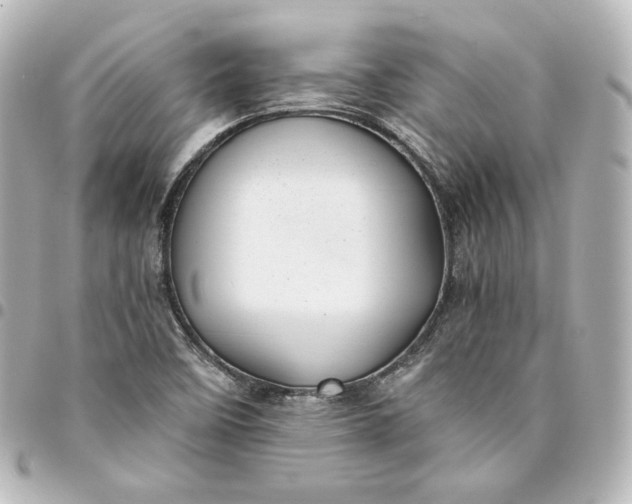 X0000095541458200712281533