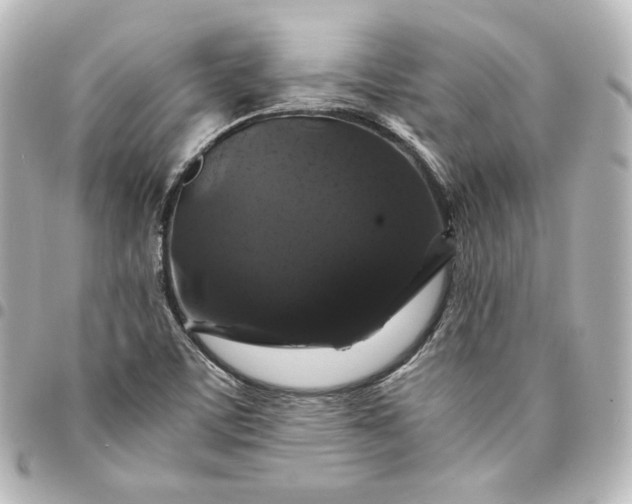 X0000095541459200712281533