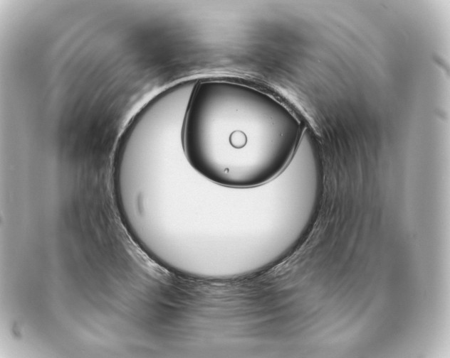 X0000095541460200712281533